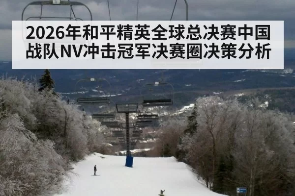 2026年和平精英全球总决赛中国战队NV冲击冠军决赛圈决策分析